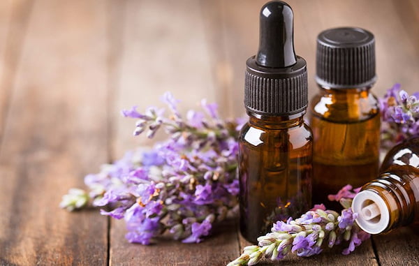 تصویر 4 از قیمت اسانس گیاه اسطوخودوس + خرید باور نکردنی